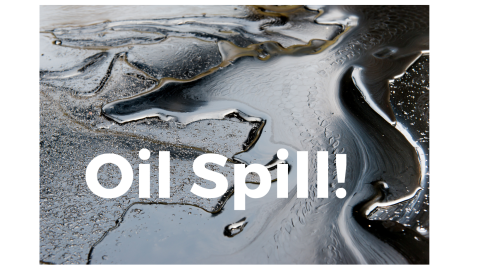 Oil spill picture