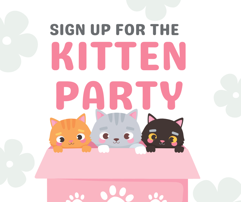 Kitten Party