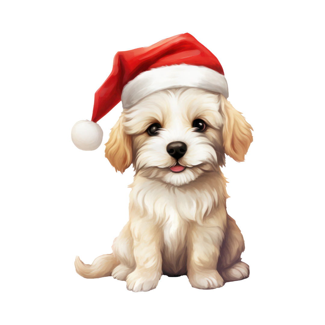 dog with a Santa Hat